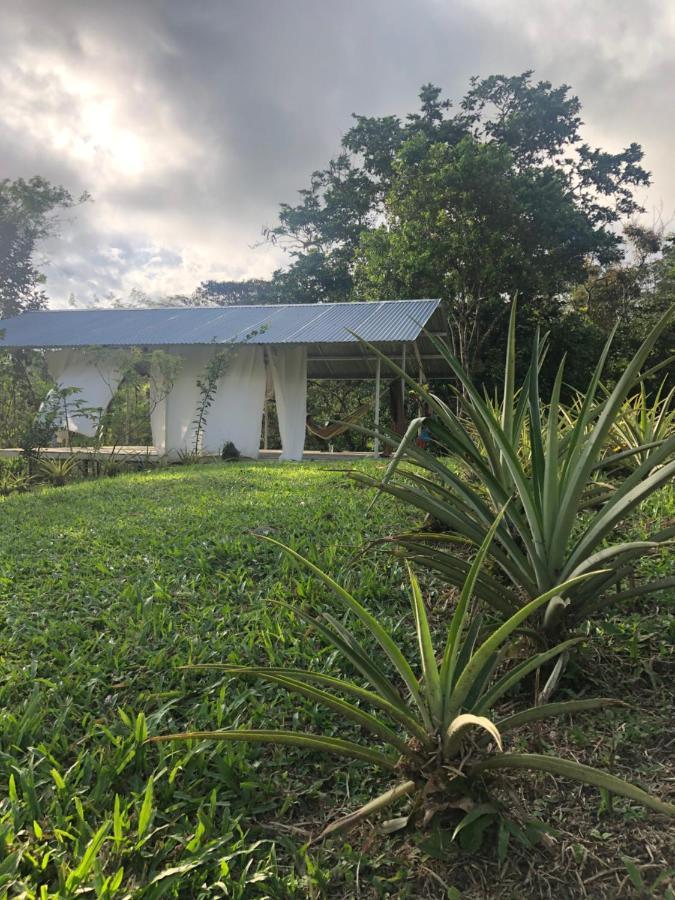 Soursop Hostel Cueta Dış mekan fotoğraf