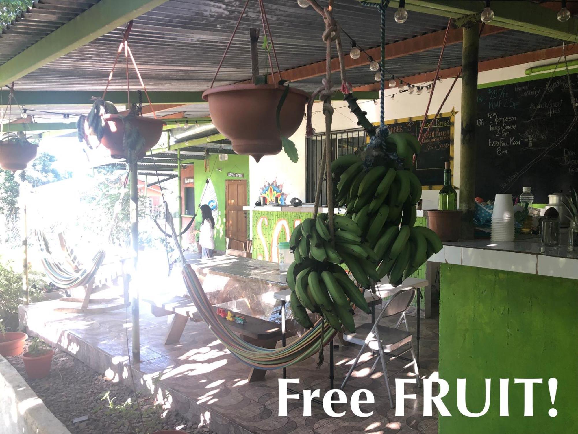 Soursop Hostel Cueta Dış mekan fotoğraf