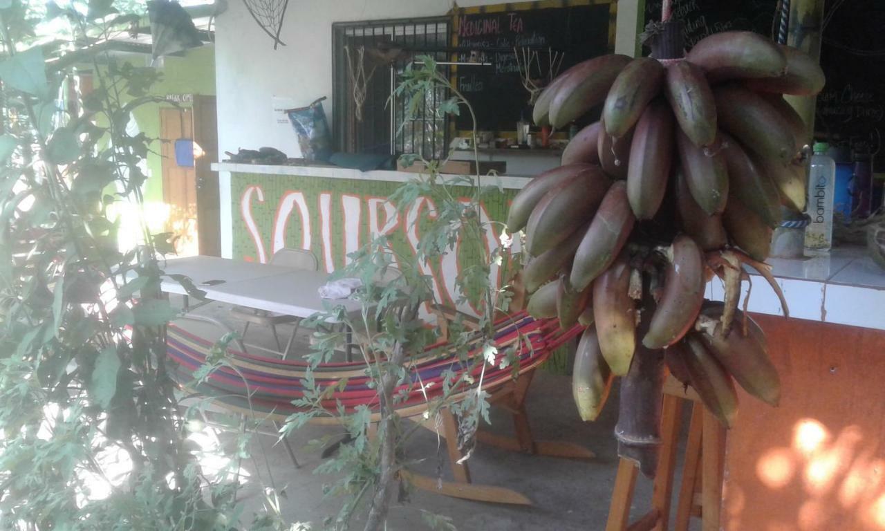 Soursop Hostel Cueta Dış mekan fotoğraf